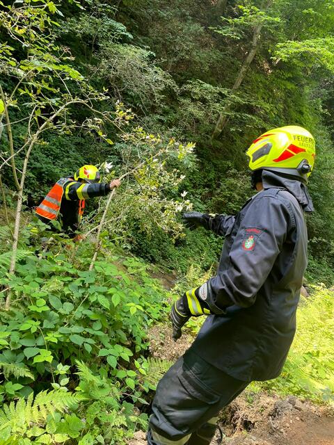 Foto: Pronegg/A. Ketschler/R. I Maier FF Leutschach