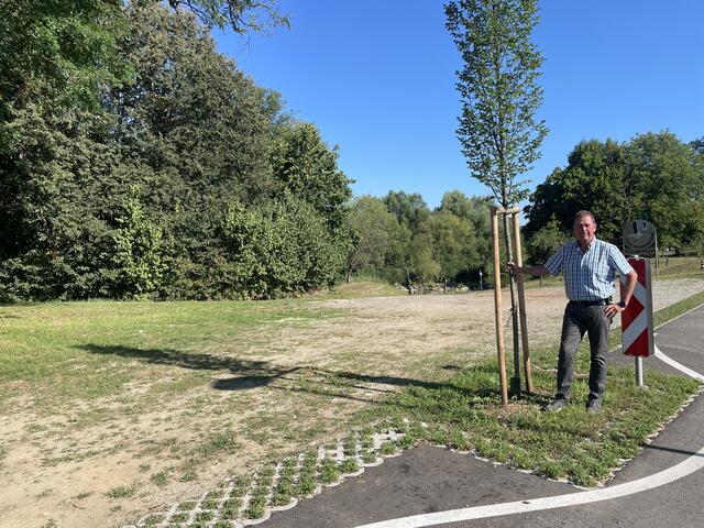 Erhöhe Verkehrssicherheit und neu gepflanzte Bäume: Das Projekt "Dorfstraße neu" ist abgeschlossen. Bgm. Walter Novak ist froh darüber.