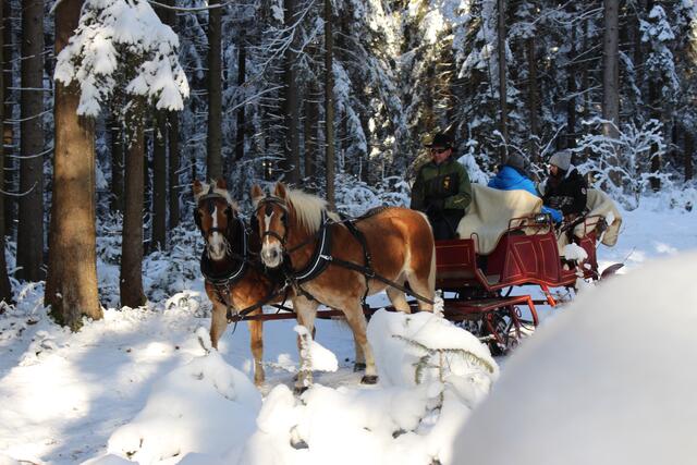 Foto: Georgs Kutscher Hof
