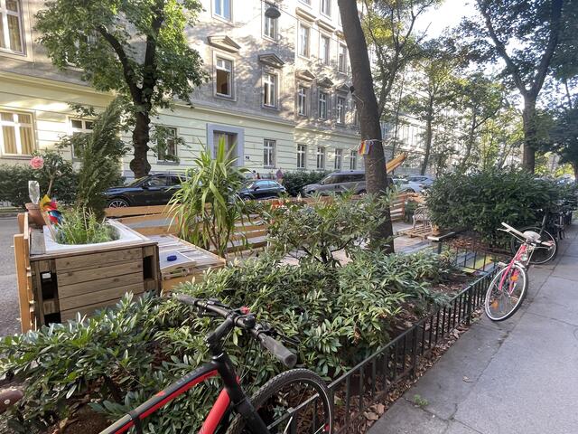 Der Antrag der ÖVP wurde im Bezirksparlament abgelehnt. | Foto: Salme Taha Ali Mohamed
