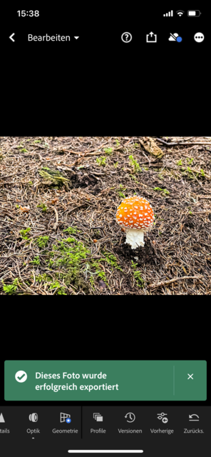 Mit unserem App-Tipp der Woche "Lightroom" können auf hohem Niveau Fotos bearbeitet werden. Lightroom gibt es kostenlos für IOS und Android. In-App-Käufe ermöglichen weitere Funktionen. | Foto: Screenshot