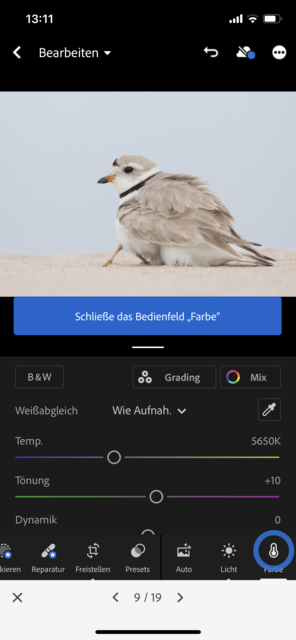 Mit unserem App-Tipp der Woche "Lightroom" können auf hohem Niveau Fotos bearbeitet werden. Lightroom gibt es kostenlos für IOS und Android. In-App-Käufe ermöglichen weitere Funktionen. | Foto: Screenshot