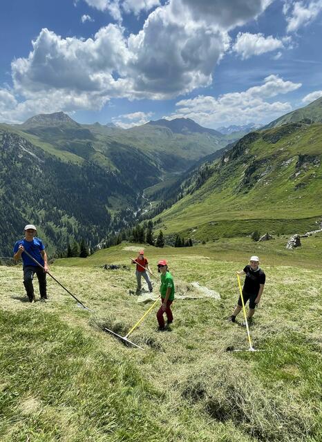 Bergmahd bei Umweltbaustelle im Naturpark Riedingtal. | Foto: Naturpark Riedingtal