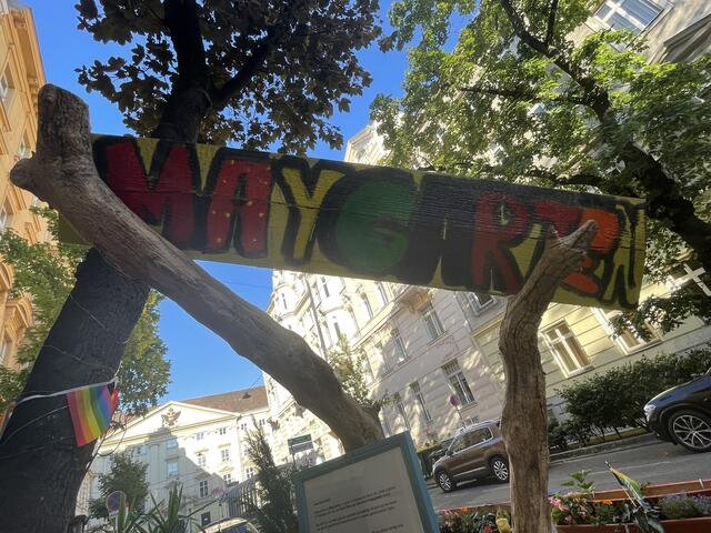 Das Parklet "Maygarten" steht seit einigen Wochen in der Mayerhofgasse 4. | Foto: Salme Taha Ali Mohamed