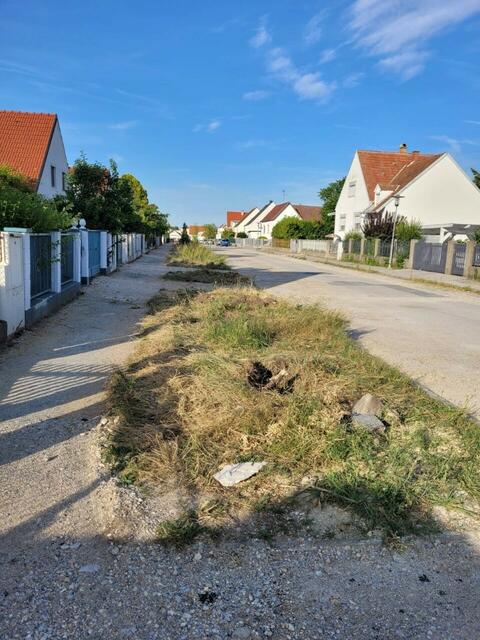 60 neue Bäume sollen in der Gasse gepflanzt werden | Foto: FZR