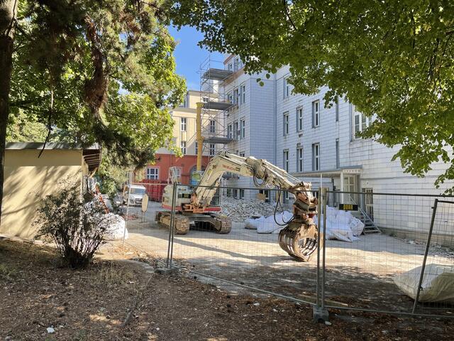 Rollen bald die Bagger um Bäume zu fällen? | Foto: zVg