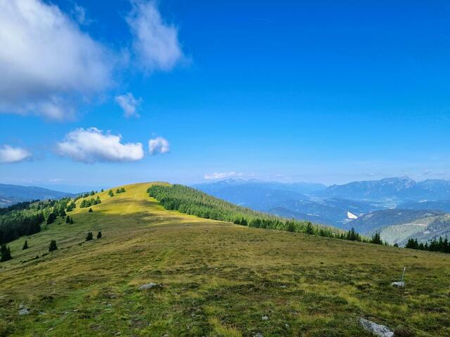 Die letzten Meter zum 1.643 Meter hohen Wetterkogel mit Blick auf Leoben und dem Gößeck. | Foto: Andreas Steininger