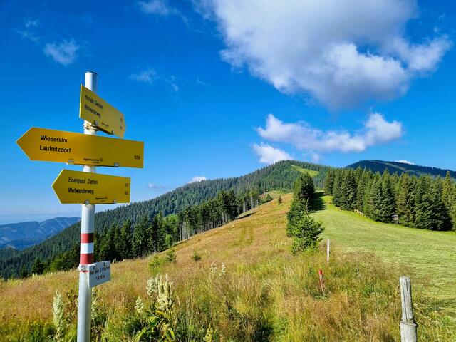 Ein weites, genussvolles und aussichtsreiches Wanderland, die Tour über die Brucker Hochalm, hier bei den "drei Pfarren". | Foto: Andreas Steininger