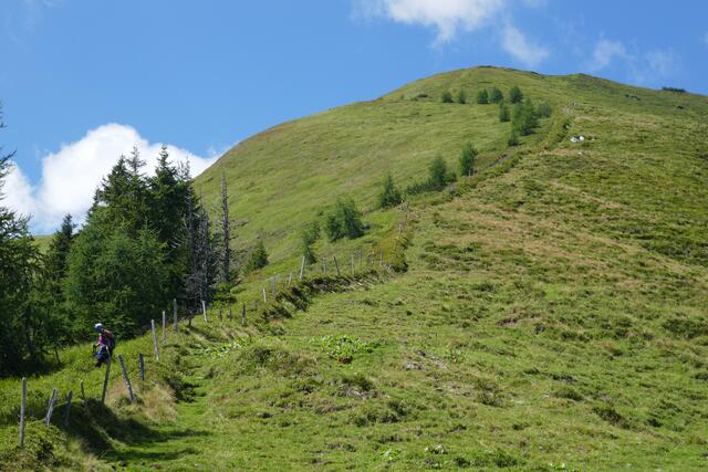 Abstieg von der Roßkarkopfscharte über einen Rücken und entlang des Weidezaunes.  | Foto: Thomas Neuhold