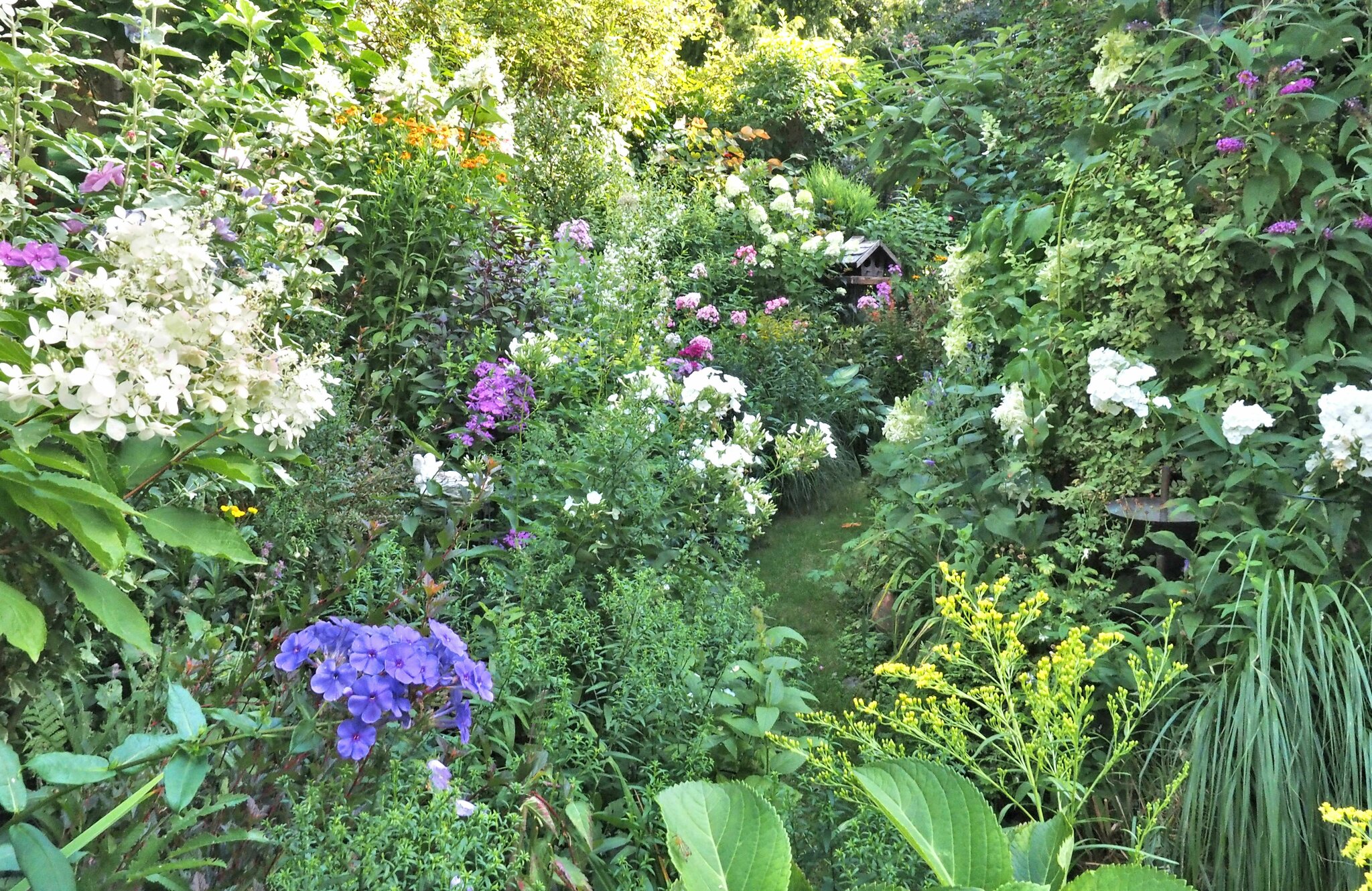 Meine grüne Leidenschaft Mein lebendiger Garten Neunkirchen