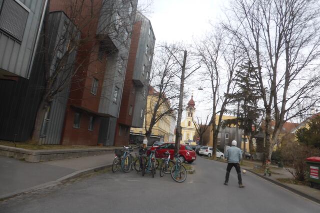 Kappung beim östlichen Bergahorn in der Muchargasse Anfang März 2022.
Wie lange wird so ein gepflegter Baum wohl überleben?