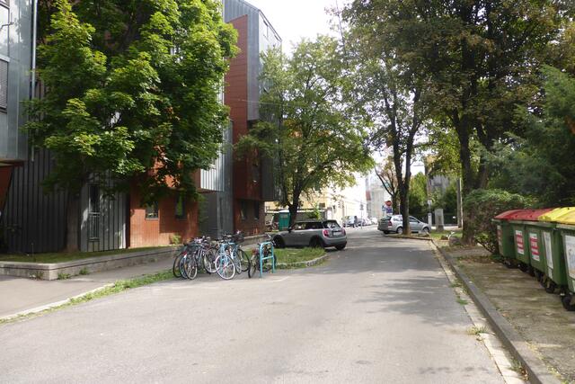 Dieses Bild wurde dann am 31. Juli gemacht. 
4,5 Monate hat es hier gedauert, bis der Baum (endlich) weg war...Für die Beseitigung von zwei Bäumen sind 3 Einsätze von einem großen Lkw mit Manschaft notwendig gewesen. 
Frei nach dem Motto: "Was möglichst teuer ist - muss auch sehr  gut sein"...