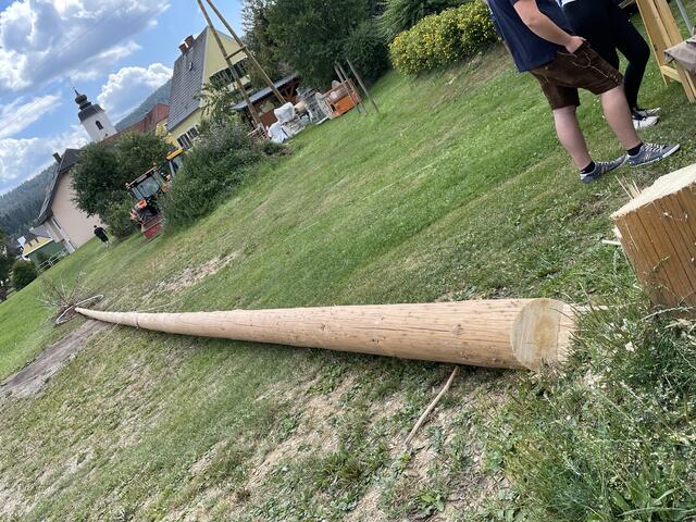 Der Maibaum in Miesenbach wurde Mitte August wie geplant umgeschnitten. | Foto: RegionalMedien Steiermark/Hofmüller