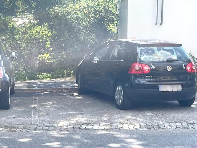 Es ist speziell, wenn ein Kleinwagen gleich zwei Parkplätze einnimmt. | Foto: privat