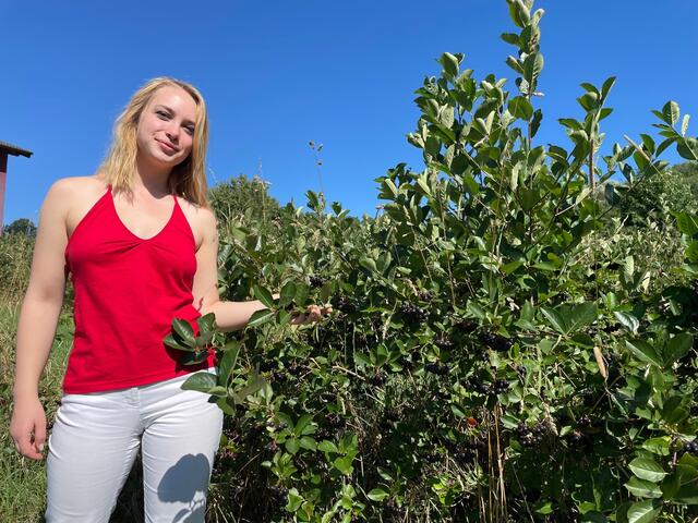 Sophie Schindler von 1000Kraut auf ihrem Aroniafeld in Pöggstall. | Foto: Johann Schiefer