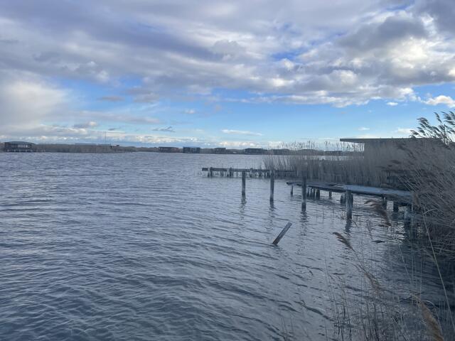 Neusiedler See: WWF warnt vor Zerstrung durch knstliche Zuleitung -  Neusiedl am See