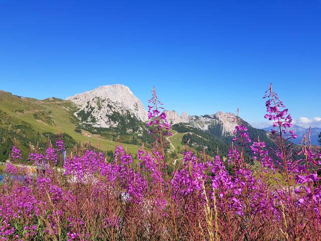 vor uns der Trogkofel