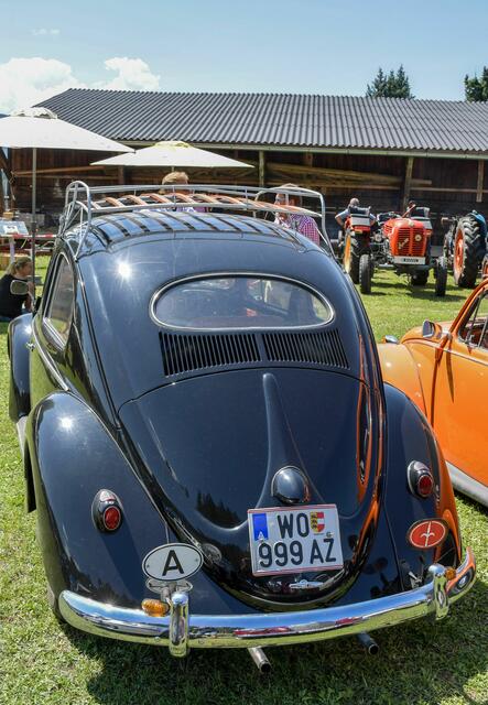 Foto: Gerhard Pulsinger