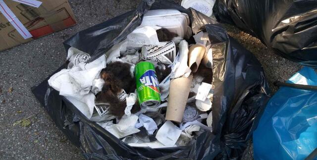 "So nicht", lauten die scharfen Worte aus dem Rathaus der Stadt Wels. Es werde null Toleranz gegenüber Müllsündern gezeigt. | Foto: Stadt Wels