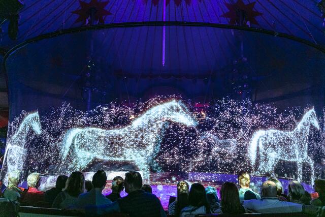 Eine Innovation, die es nur in diesem Zirkus gibt. Eine spezielle Lasertechnik, Holographie genannt, ersetzt die echten Tiere.  | Foto: www.roncalli.de
