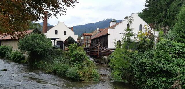 Das Sensenmuseum in Frohnleiten ist ebenfalls aufgefordert, besondere Ausstellungsstücke zu benennen. | Foto: WOCHE