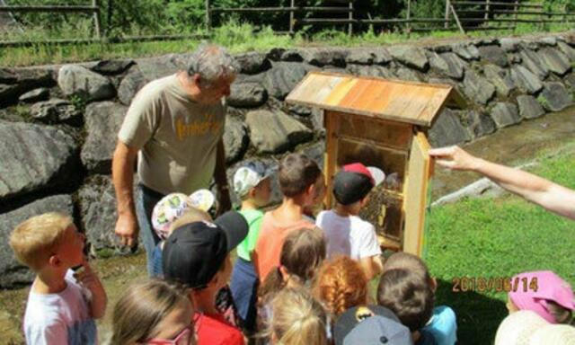 Foto: BZV Dellach im Drautal 