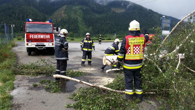 Vielerorts sind durch den Sturm Bäume auf die Straßen gestürzt und blockierten Straßen.