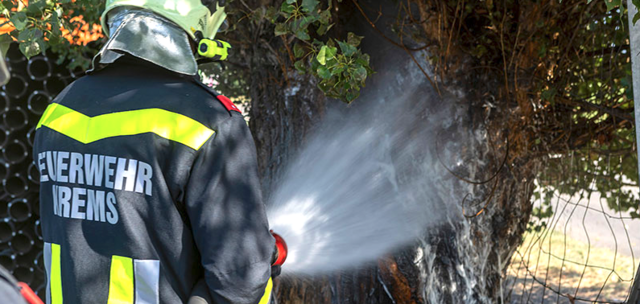 Die Kremser Feuerwehrleute löschten einen brennenden Baumstamm. | Foto: feuerwehrmedia