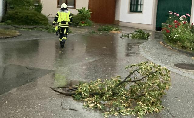 Rund um die Häuser entstanden Schäden. | Foto: FF Gedersdorf