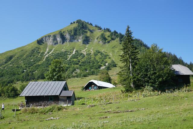 Das Königsberghorn von der Königsbergalm aus gesehen. Der Anstieg führt über den steilen Rücken rechts im Bild.  | Foto: Thomas Neuhold