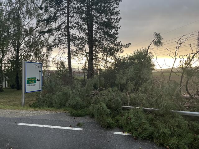 So mancher alter Baum lag quer über die Straße. | Foto: FF Gedersdorf