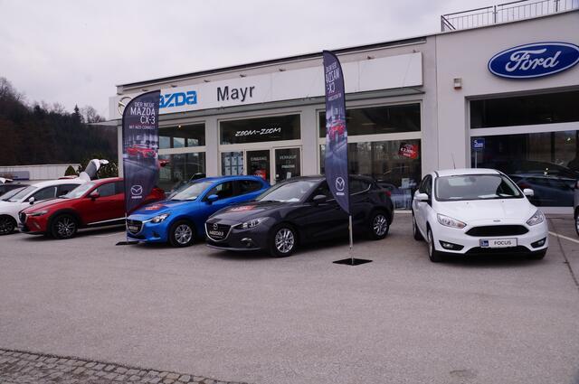 Laut Rudolf Mayr vom gleichnamigen Autohaus in Schwarzach gebe es bereits seit letztem Lahr Probleme mit den Lieferungen. | Foto: Julia Hettegger