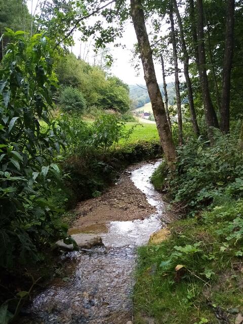 Der Schwarztalbach schlängelt sich ins Tal