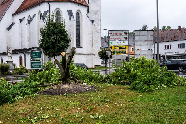 Das blieb von dem 30 Jahre alten Baum über. | Foto: fotokerschi.at