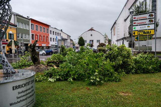 Foto: fotokerschi.at