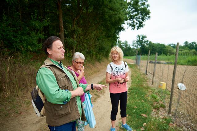 Foto: Johannes Edinger