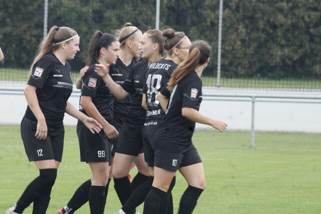 Die Wildcats hatten am Samstag Grund zur Freude, Sie kamen mit ihrem Sieg in die nächste Cuprunde. | Foto: RegionalMedien Steiermark/Hofmüller