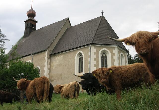 Unser Ziel sollte in der Produktion gesunder Nahrungsmittel liegen und gleichzeitig sollten Landwirte davon auch leben können.  | Foto: Engel