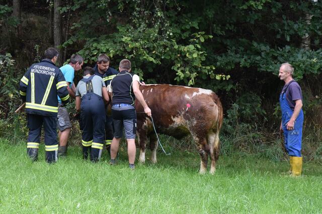 Foto: Alois Braid/zema-medien.de