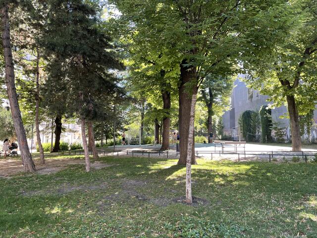 Der Rasen ist vertrocknet, wie ein Lokalaugenschein der BezirksZeitung im Josef-Strauß-Park zeigt. | Foto: mia