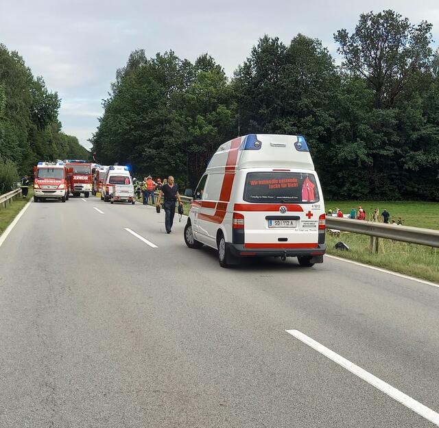 Foto: Markus Bäumler/zema-medien.de