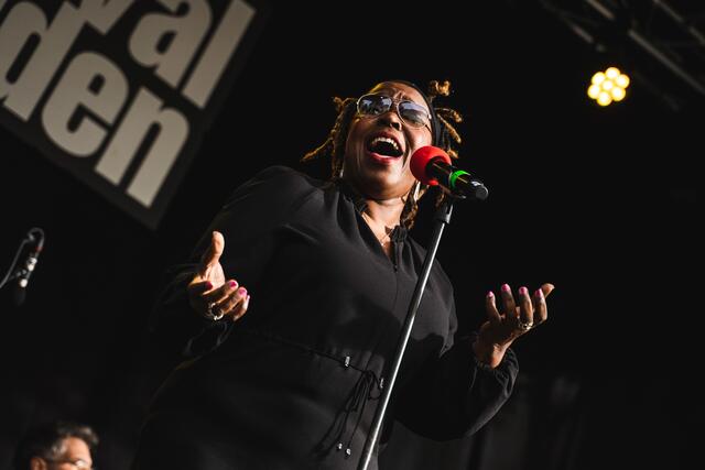 Stadtpark: Gisele Jackson mit der Soul Gift Band | Foto: Michael Geißler