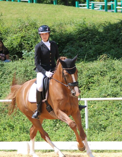 Lilly Deschberger mit Haller's Espalion freute sich im Bewerb lizenzfrei über den Sieg und zweimal den zweiten Platz. | Foto: Michaela Schneebauer
