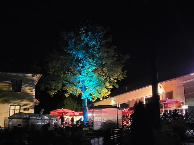 Foto: ÖTB Neumarkter Turnverein