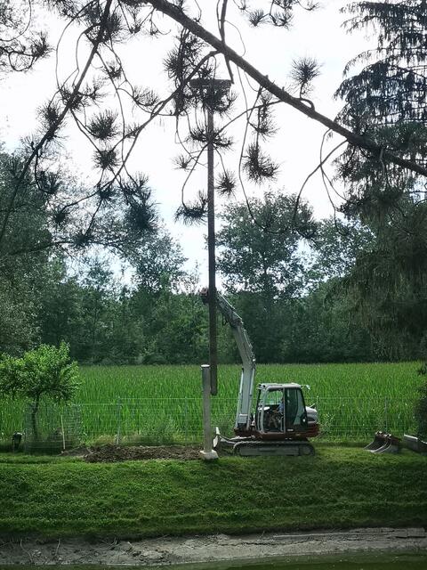Hoch oben in der Luft befindet sich das Nest, das aus Mast, Metallkorb und geflochtenem Korb besteht. Störche nisten sich gerne da ein, wo bereits ein Nest ist. Zum Anlocken ist das also ideal. | Foto: privat