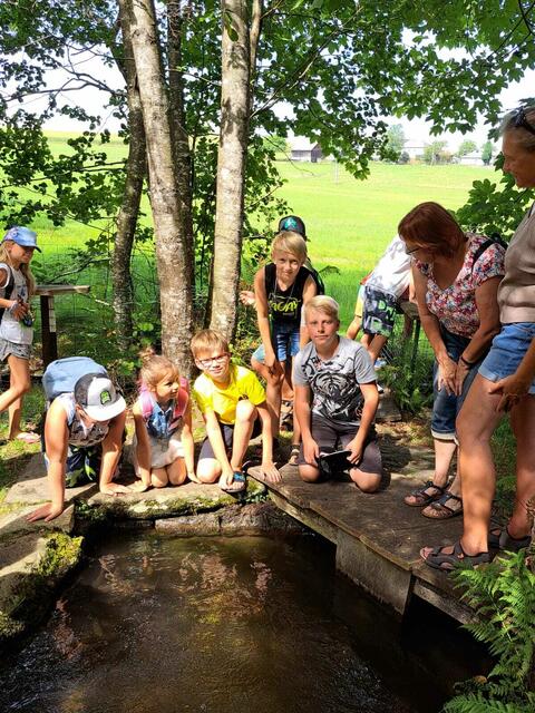 Trotz Sommerwetter und Wasser heißt es "Kein Baden" für die Vichtensteiner Kinder. Der Bach beheimated die Forellen des Forellenzirkuses. | Foto: Goldhauben Vichtenstein