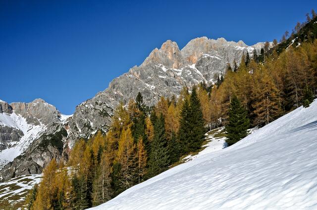 Auf einem ähnlichen Gletscherfeld am Hochseiler kam es zu dem Alpinunfall. | Foto: Rudi Roozen