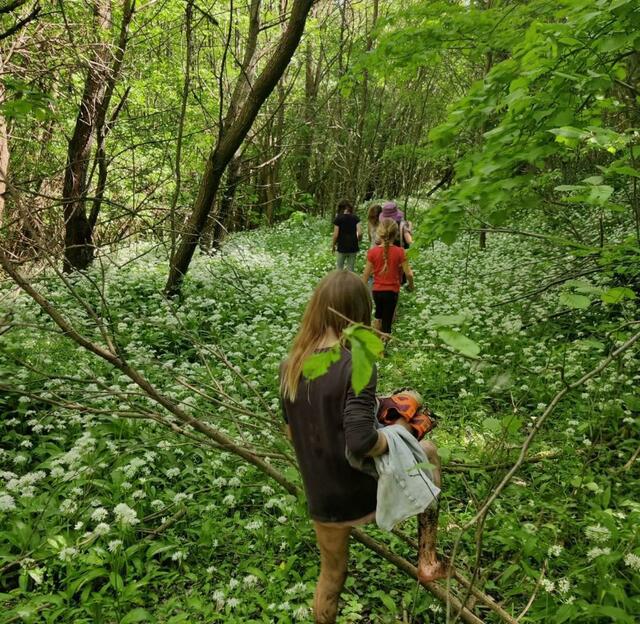 Man schützt, was man liebt und versteht. Die wöchentliche Waldzeit mit Naturkunde vor Ort.  | Foto: Leithabergschule