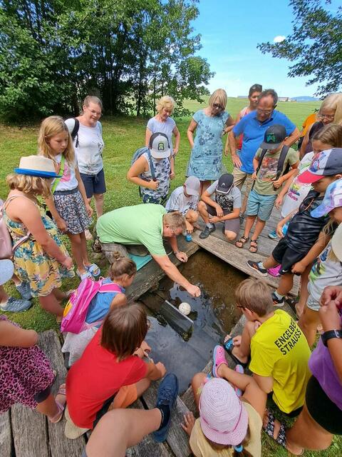 Die Gruppe schaut den Forellen zu, als diese ihre Tricks vorführen. | Foto: Goldhauben Vichtenstein