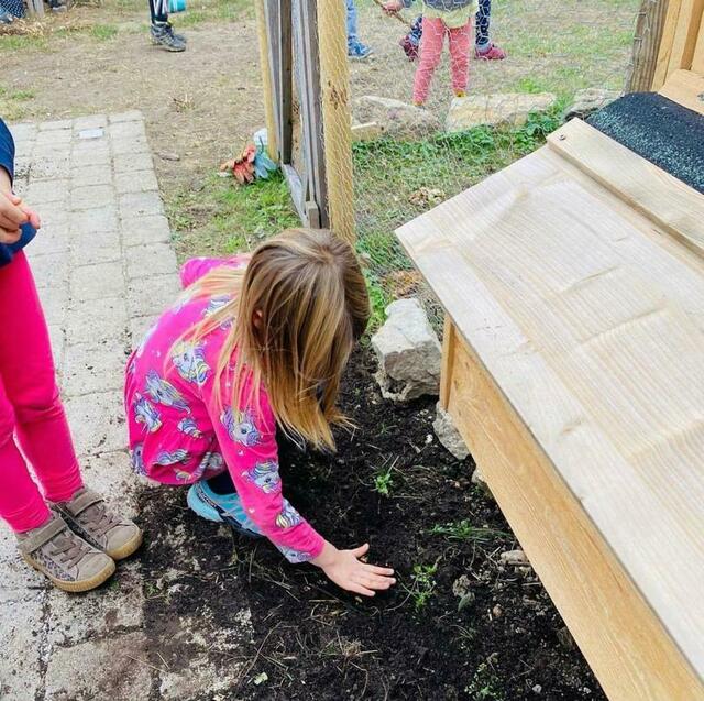 Pflege der Schulhühner und der Gemüsebeete im Schulgarten. | Foto: Leithabergschule
